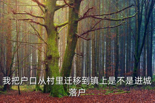 進(jìn)城落戶(hù)是什么意思，進(jìn)城務(wù)工人員隨遷子女是什么意思