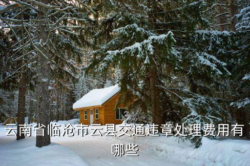 臨滄市車補(bǔ)正策是什么，臨滄市12315消費(fèi)者協(xié)會(huì)如果汽車修理費(fèi)過高可以投訴嗎
