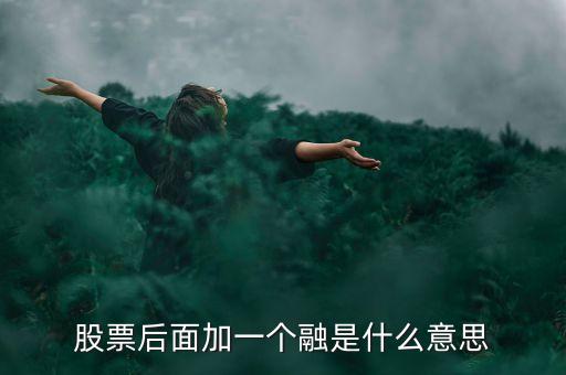 什么是一融雙新，股票后面加一個融是什么意思