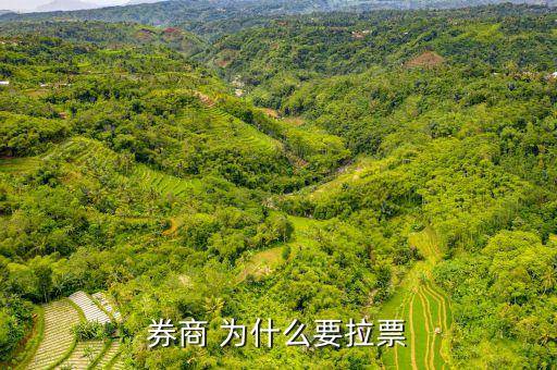 為什么要用券商拉大盤指數(shù)，券商 為什么要拉票