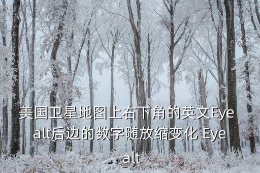 美國(guó)衛(wèi)星地圖上右下角的英文Eye alt后邊的數(shù)字隨放縮變化 Eye alt