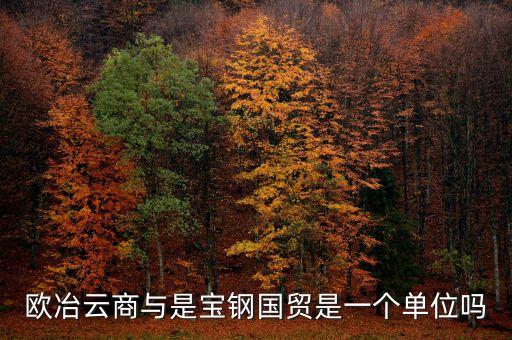 歐冶金融是什么企業(yè)，鋼鐵電商歐冶云商域名是寶鋼化還是有玄機(jī)