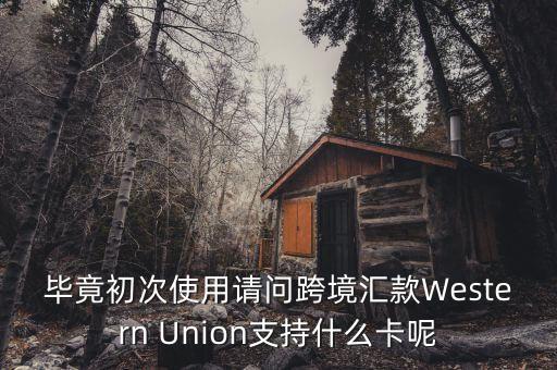 什么是西聯(lián)，畢竟初次使用請(qǐng)問(wèn)跨境匯款Western Union支持什么卡呢