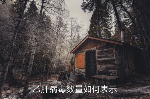 乙肝病毒20萬代表什么意思，乙肝DNA定量結(jié)果是100000是甚么意思