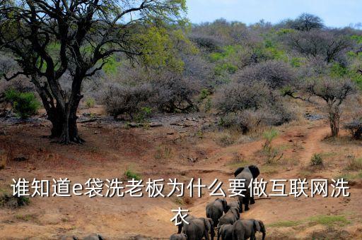 誰知道e袋洗老板為什么要做互聯(lián)網洗衣