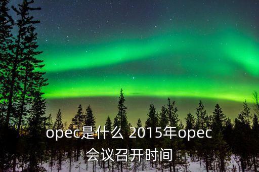 什么是opec會議，OPEC石油會議是什么時候召開啊石油價格會受影響嗎