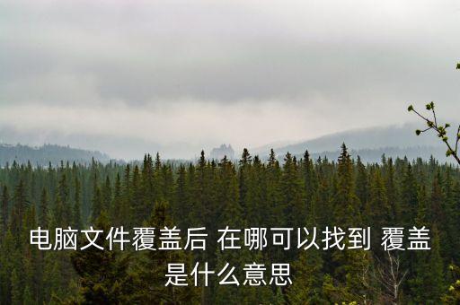 首次覆蓋是什么意思，首次覆蓋給予買入評級 什么意思