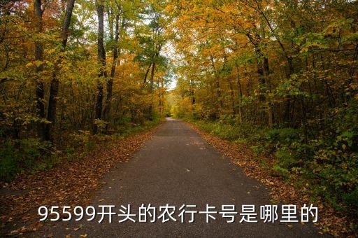 農(nóng)業(yè)銀行95599開頭的是什么卡，95599開頭是什么銀行的卡