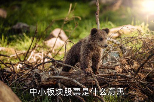 中小股是什么意思，中小板股是什么意思呀