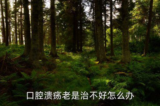 云南咖啡豆在什么時(shí)候采摘，云南小?？Х仍趺闯砸髥?/></a></span><span id=