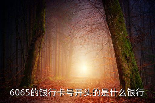 6055開(kāi)頭是什么銀行，6055開(kāi)頭是什么銀行的 急求