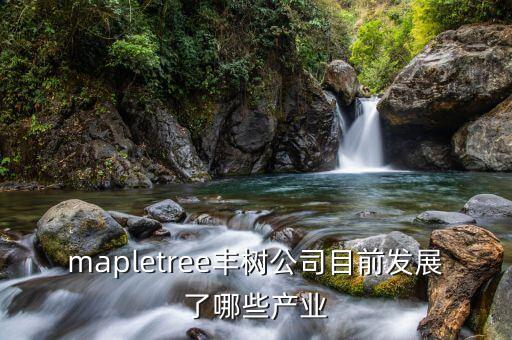 mapletree豐樹公司目前發(fā)展了哪些產業(yè)