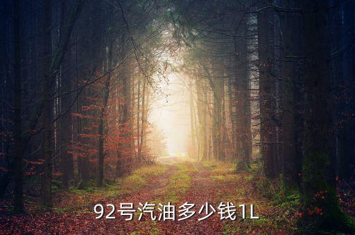92號(hào)汽油什么價(jià)，92汽油價(jià)格