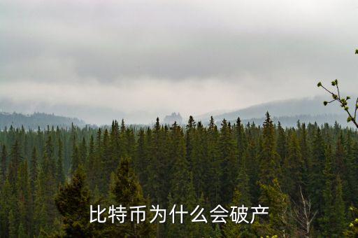 比特幣為什么破產(chǎn)，比特幣為什么會破產(chǎn)