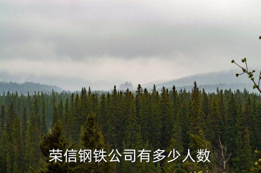 榮信電子有限公司什么時候成立，鞍山榮信電子怎么樣
