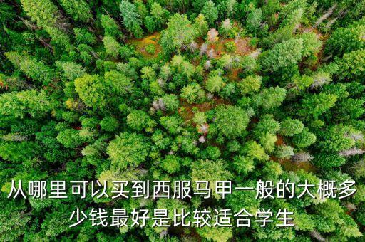 什么牌子賣西裝馬甲，什么牌子的西裝馬甲好