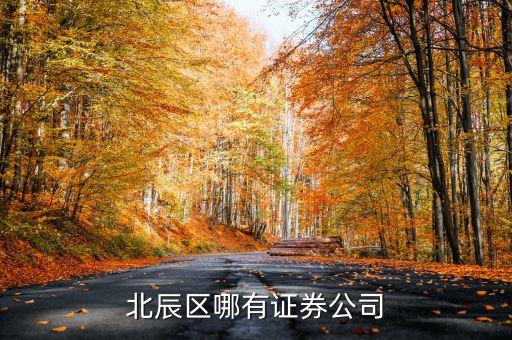 北辰區(qū)有什么證券工司，昆明北市區(qū)北辰小區(qū)或和諧世紀那邊有沒有證券交易所