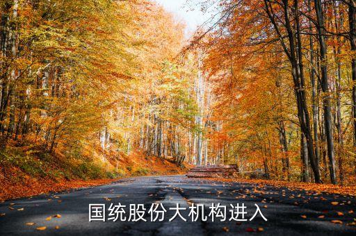 國統(tǒng)股份大機構(gòu)進入