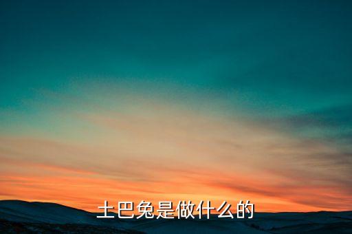土巴兔是什么模式，為什么土巴兔的商業(yè)模式如此令人著迷