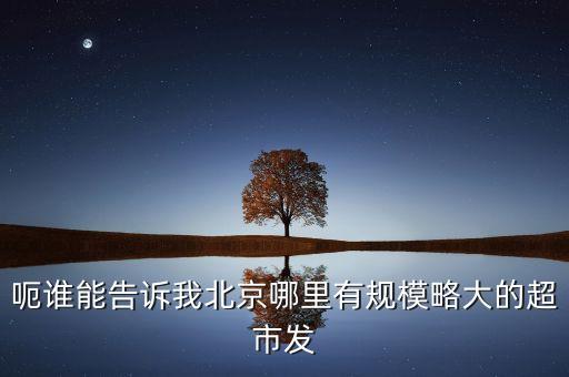 北京超市發(fā)有什么部門，呃誰(shuí)能告訴我北京哪里有規(guī)模略大的超市發(fā)