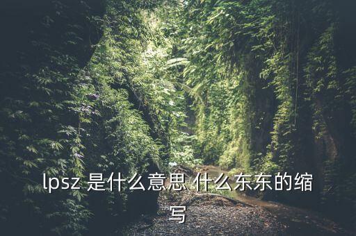 lpsk什么意思，lpsz 是什么意思 什么東東的縮寫