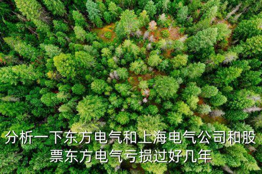 東方電氣為什么不漲，東方電氣這么好的公司為什么總是漲不上去漲不過(guò)別人呢