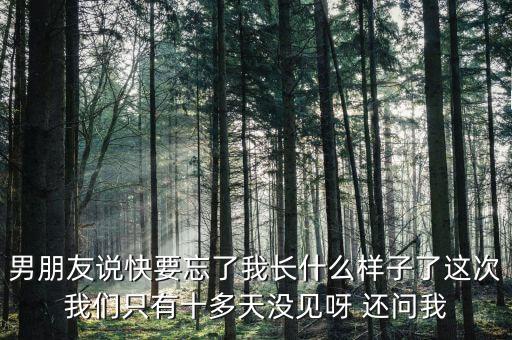 中國交通報快忘記老公長什么樣，最心酸請假條我都快忘記老公長什么樣子了