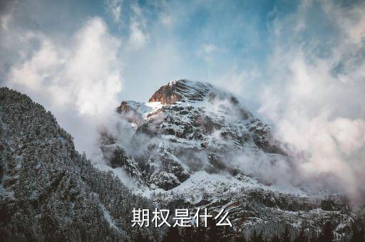 授予期權(quán)是什么意思，無償授予股票期權(quán)是什么意思