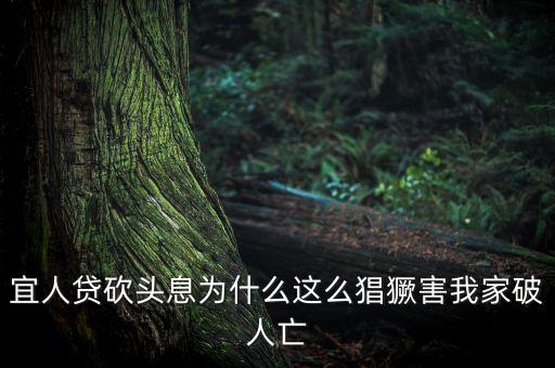 宜人貸為什么售罄，我的宜人貸為什么沒通過問題出在哪