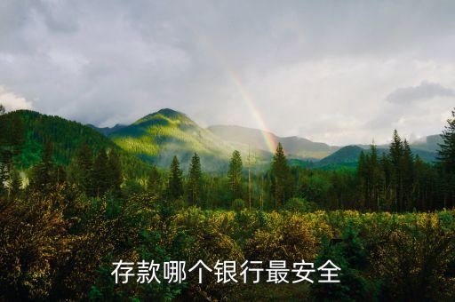 存款哪個(gè)銀行最安全