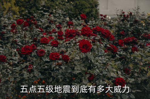 五點(diǎn)五級地震到底有多大威力