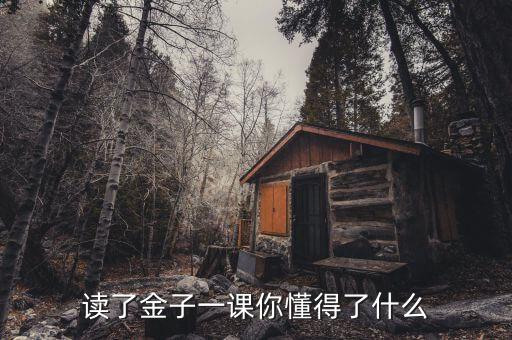 讀了金子一文你懂得了什么，讀了金子一課你懂得了什么