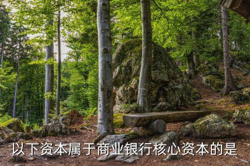 商業(yè)銀行核心資本是什么，商業(yè)銀行的核心資產(chǎn)包括哪些謝謝