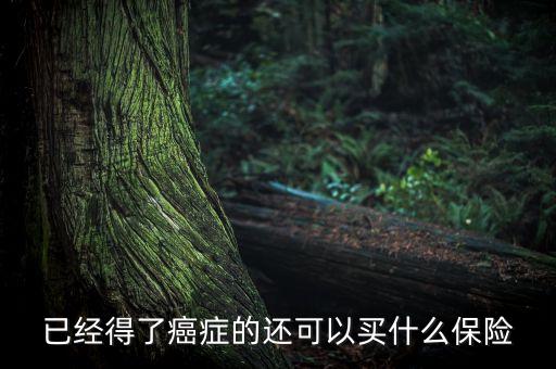 癌癥病人能買(mǎi)什么險(xiǎn)，癌癥患者能參加什么保險(xiǎn)