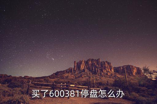 600381為什么被st，買了600381停盤怎么辦