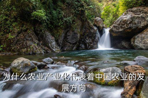 為什么要農(nóng)業(yè)產(chǎn)業(yè)化，為什么要提倡公司基地農(nóng)戶(hù)的產(chǎn)業(yè)化模式