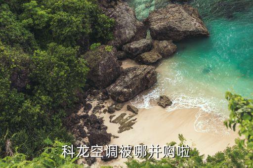 海信什么時候收購科龍，海信與科龍的關系是什么呀