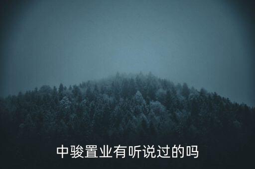 德勝門中駿置業(yè)建什么，中駿置業(yè)控股有限公司是國企嗎