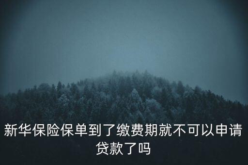 新華保險保單到了繳費期就不可以申請貸款了嗎