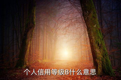 征信報(bào)告b級(jí)什么意思，中國(guó)人民銀行信用卡信用報(bào)告B級(jí)綜和評(píng)分837分啥意思