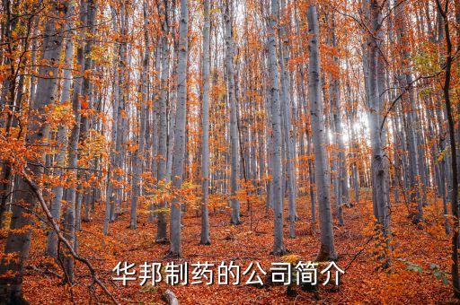 華邦制藥有什么產(chǎn)品，華邦制藥的企業(yè)理念
