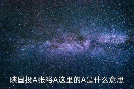 張裕a有什么可比公司，陜國投A張裕A這里的A是什么意思