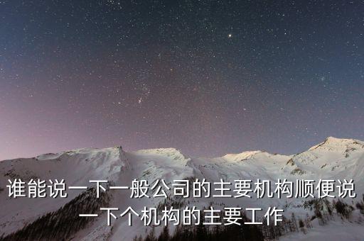 什么是非職工代表，請問我們公司之前是有兩名股東分別任命一人為總經(jīng)理執(zhí)行董事
