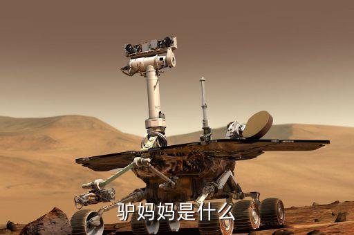 驢媽媽是什么模式，驢媽媽是什么