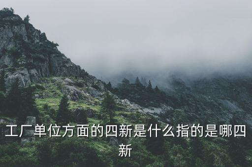 四新企業(yè)是什么，工廠單位方面的四新是什么指的是哪四新