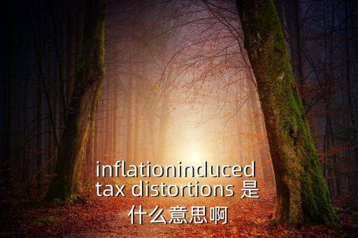 什么是扭曲稅收，inflationinduced tax distortions 是什么意思啊