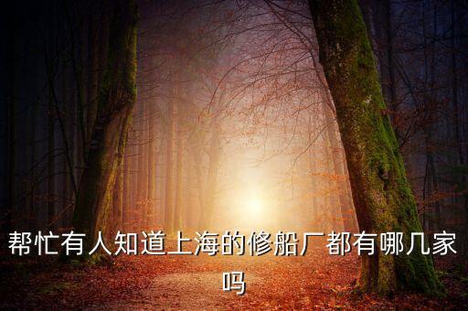 上海華利船舶工程有限公司是什么樣的企業(yè)，外高橋船廠南匯分廠再那里