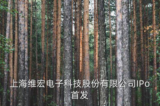 股票300508是什么企業(yè)，上海維宏電子科技股份有限公司IPo首發(fā)