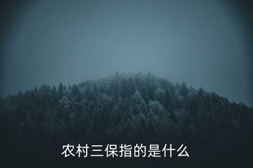 三農(nóng)保險(xiǎn)指什么，農(nóng)村三保指的是什么
