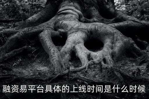 融資易平臺具體的上線時間是什么時候